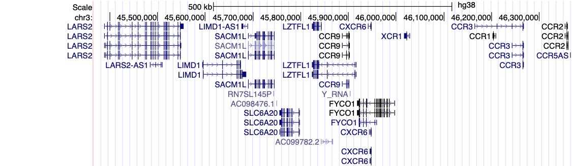 Rysunek 2: Wizualizacja pochodząca z przeglądarki genomowej UCSC Genome Browser.