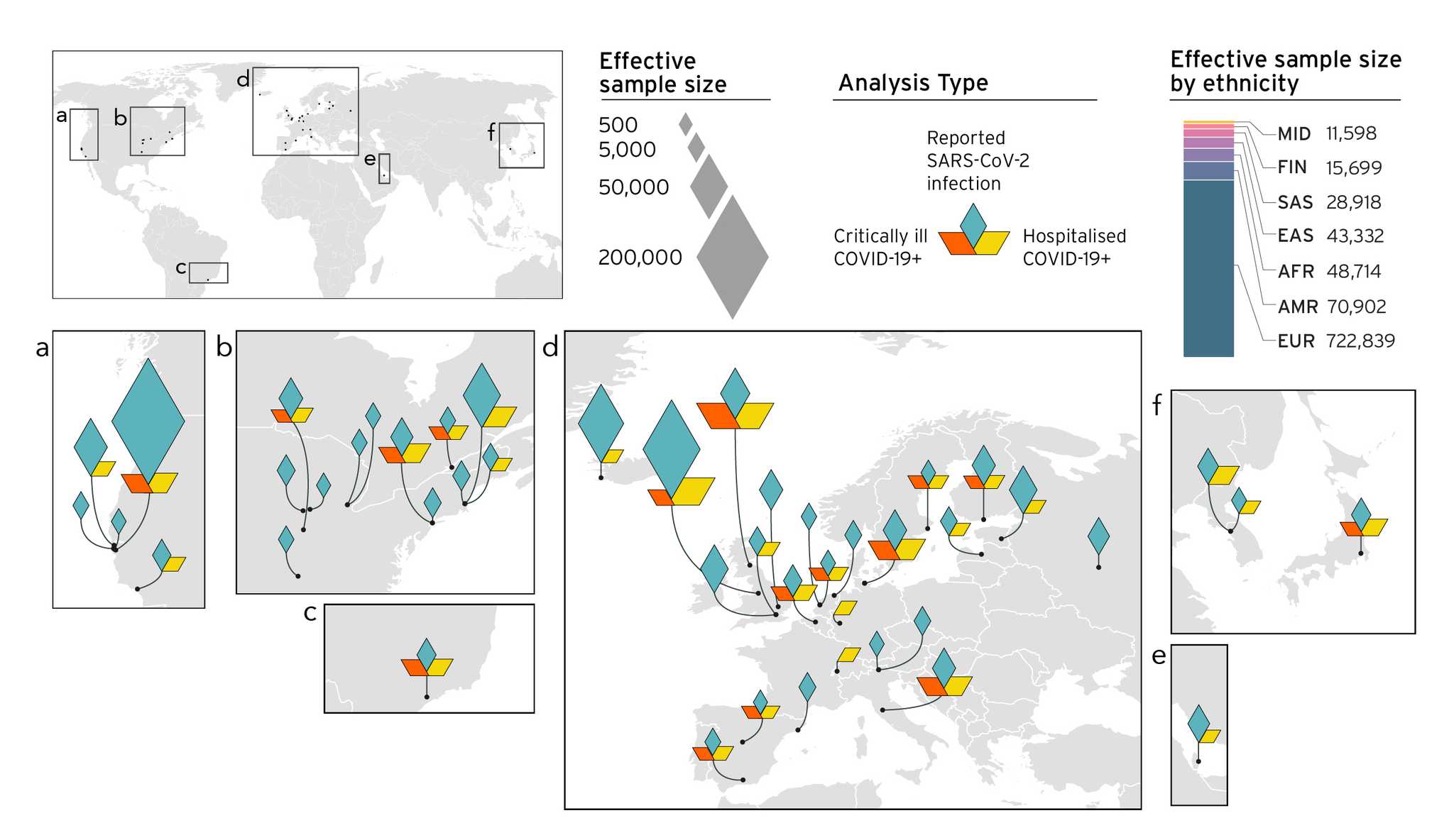 Figure 3. Overview of the studies contributing to the COVID-19 host genetics initiative and composition by major ancestry groups in meta-analyses.