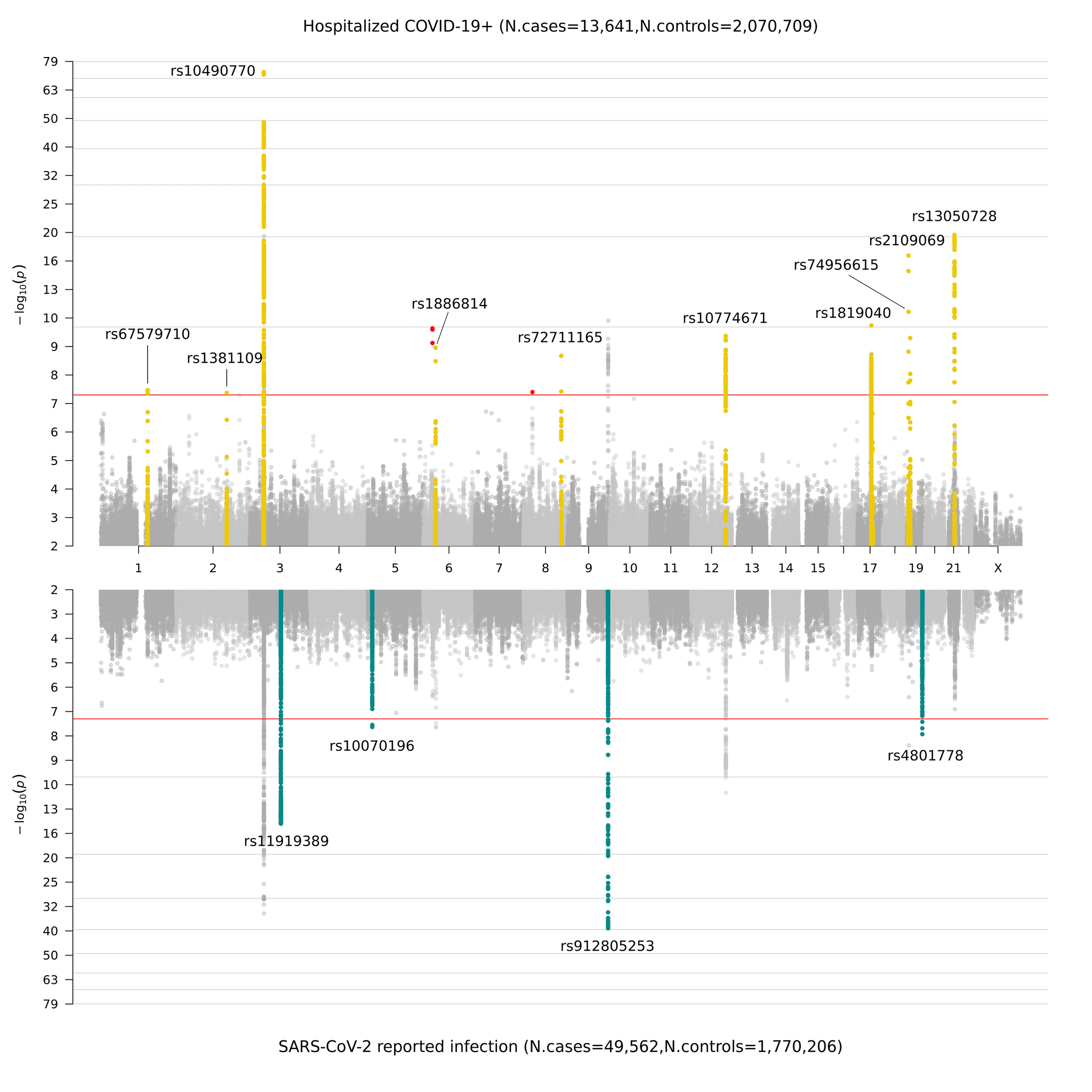 Figure 3. Miami plot of genome-wide association results for COVID-19.