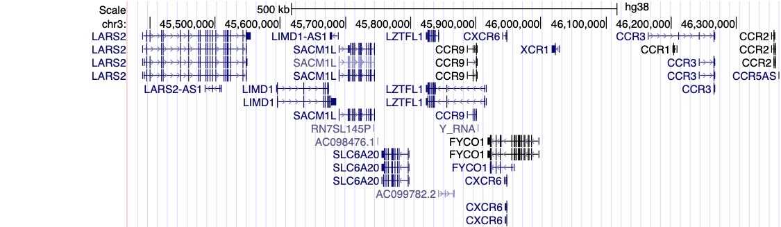 Figur 2: Visualisering av UCSC Genome Browser.