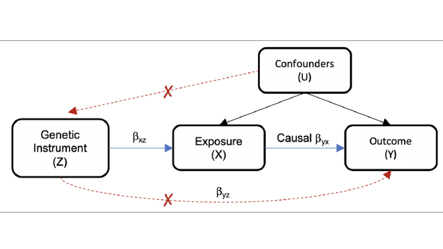 Figure 1: Model for a Mendelian randomization study.